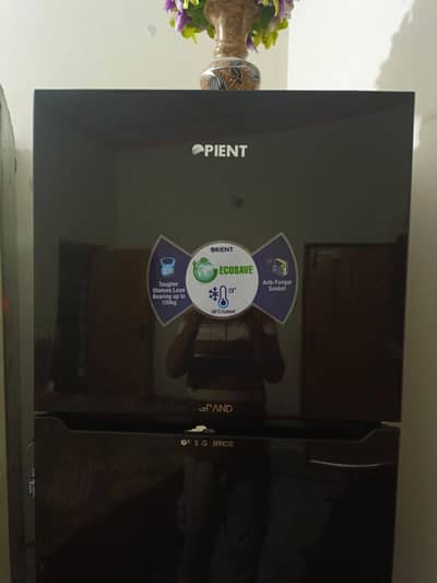 Orient Grand Fridge – Slightly Used | Excellent Condition
