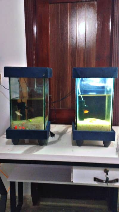 Fish Aquarium Tower-Shaped (2 Towers)