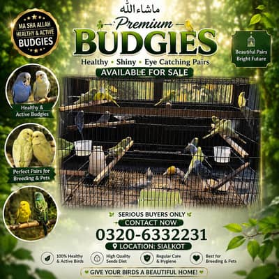 Give Your Birds A Beautiful Home!