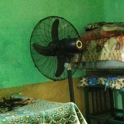Royal fan Kam use ha ,24 inch