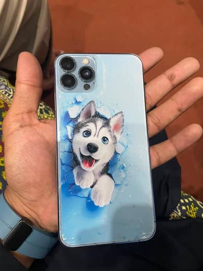 iPhone Xsmax convert into 12pro
