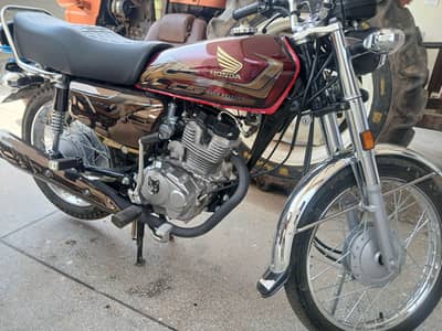 honda 125 se gold 2026