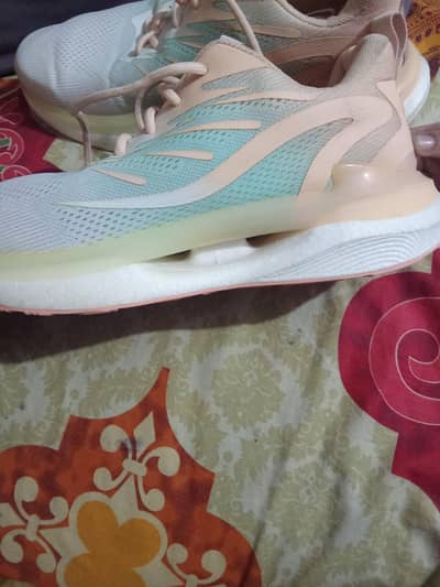 stylo