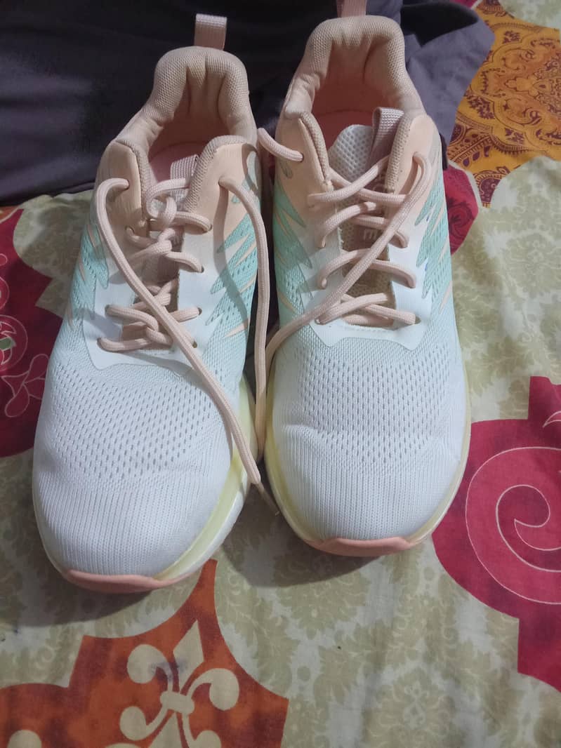 stylo 1