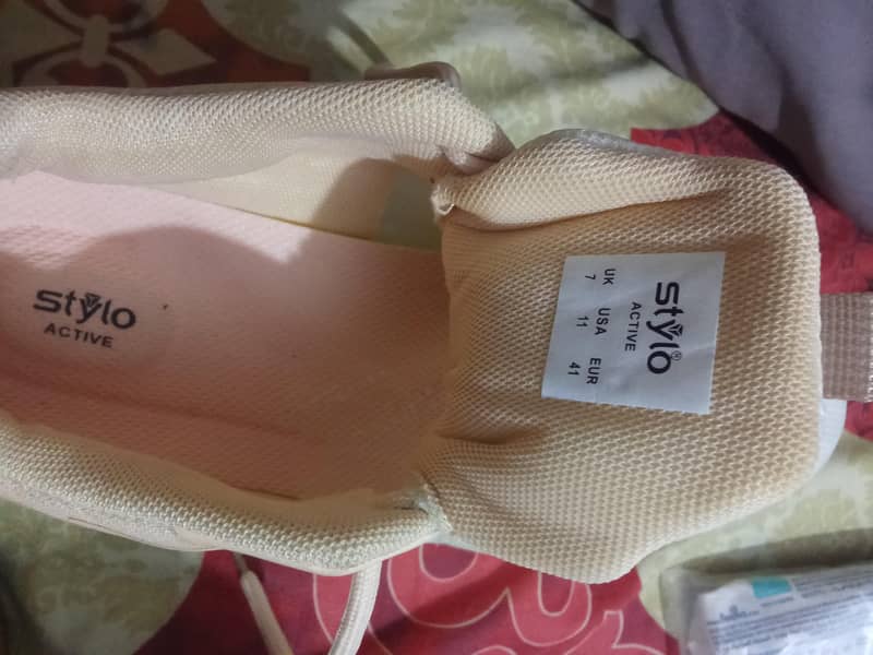 stylo 2