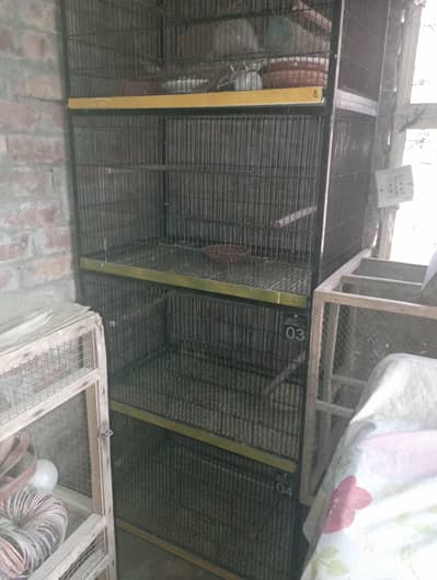 4 portions cage