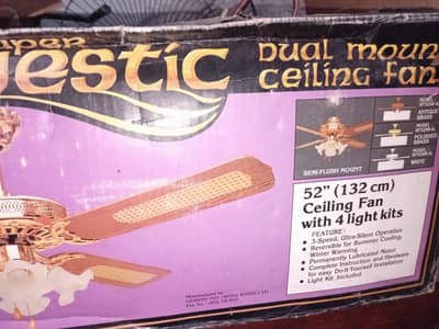 Aesthetic ceiling fan with lights