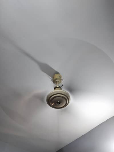 Ceiling Fan CECO Fans
