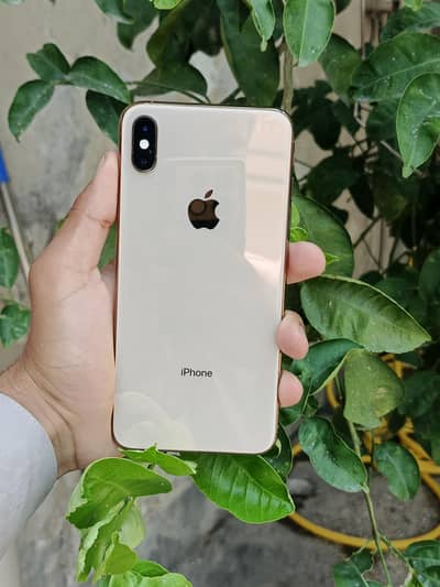 iPhone XS Max 256 GB Non pta