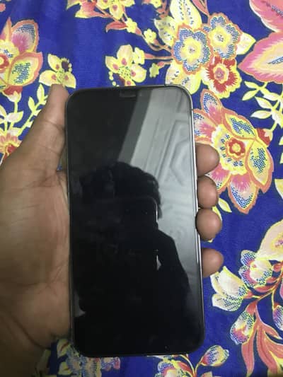 Apple iPhone 12 Pro