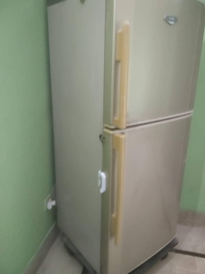 fridge 1