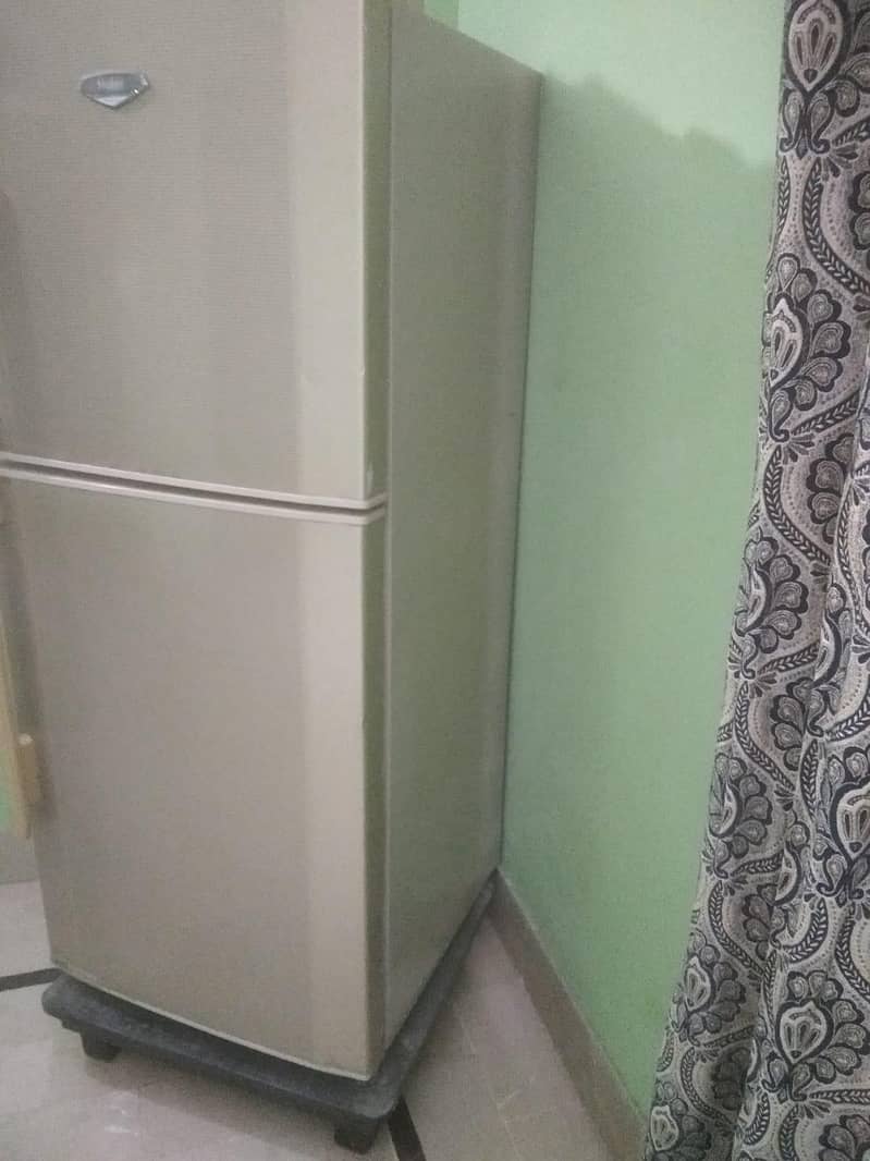 fridge 2
