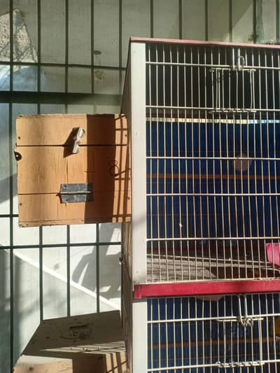 parrot cage