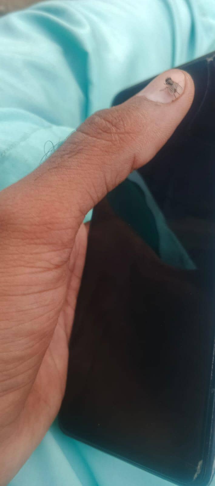 Tecno CAMON 20 6