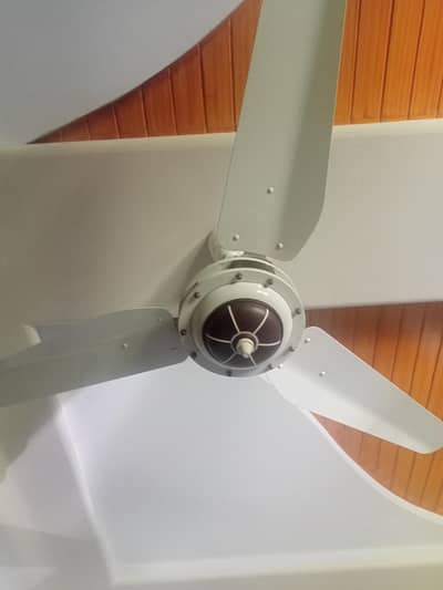 2 ceiling fans