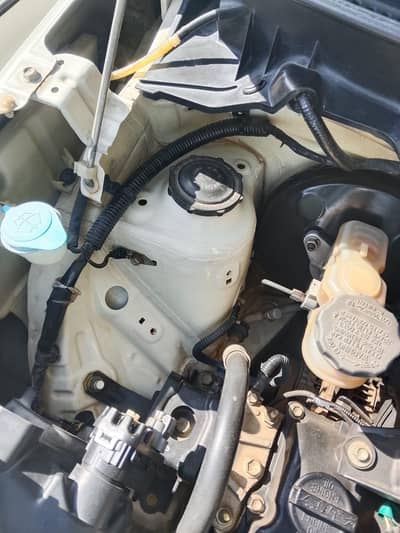 Suzuki Alto 2019