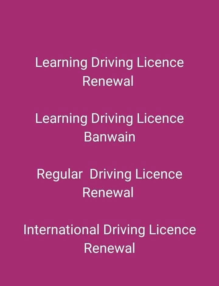 services 11