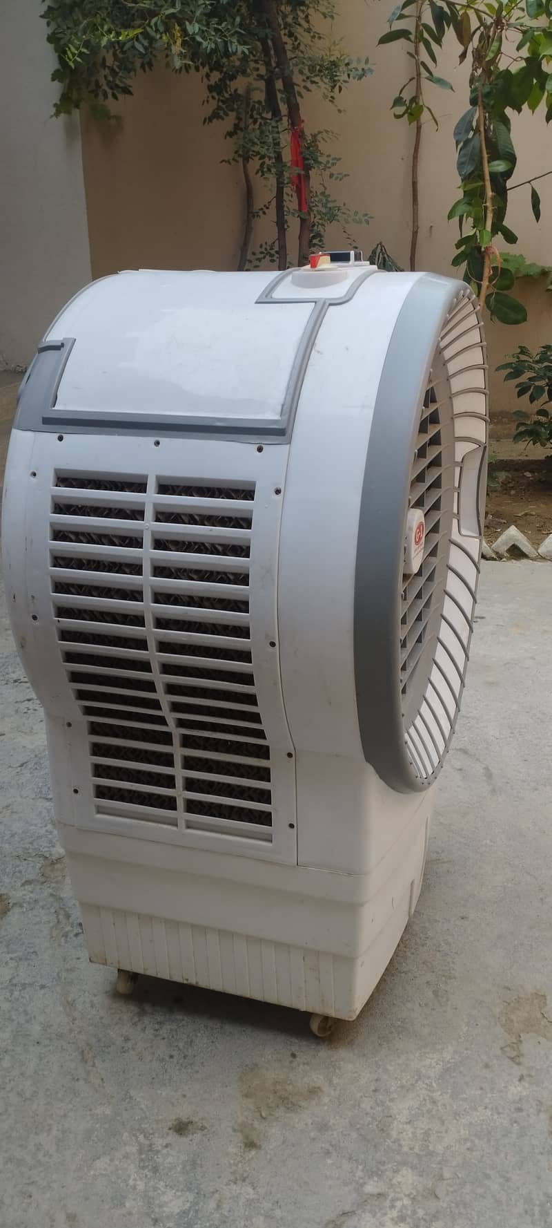 Google Other Model 0