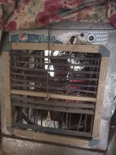 Lahori cooler
