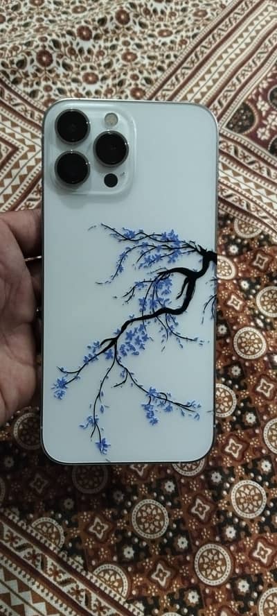 Apple iPhone 13 Pro Max 2 month sim time