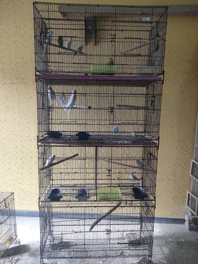 Cages