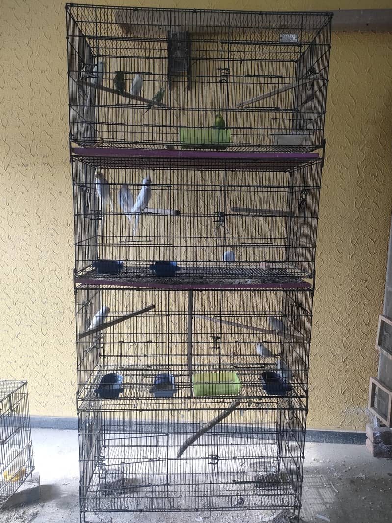 Cages 0