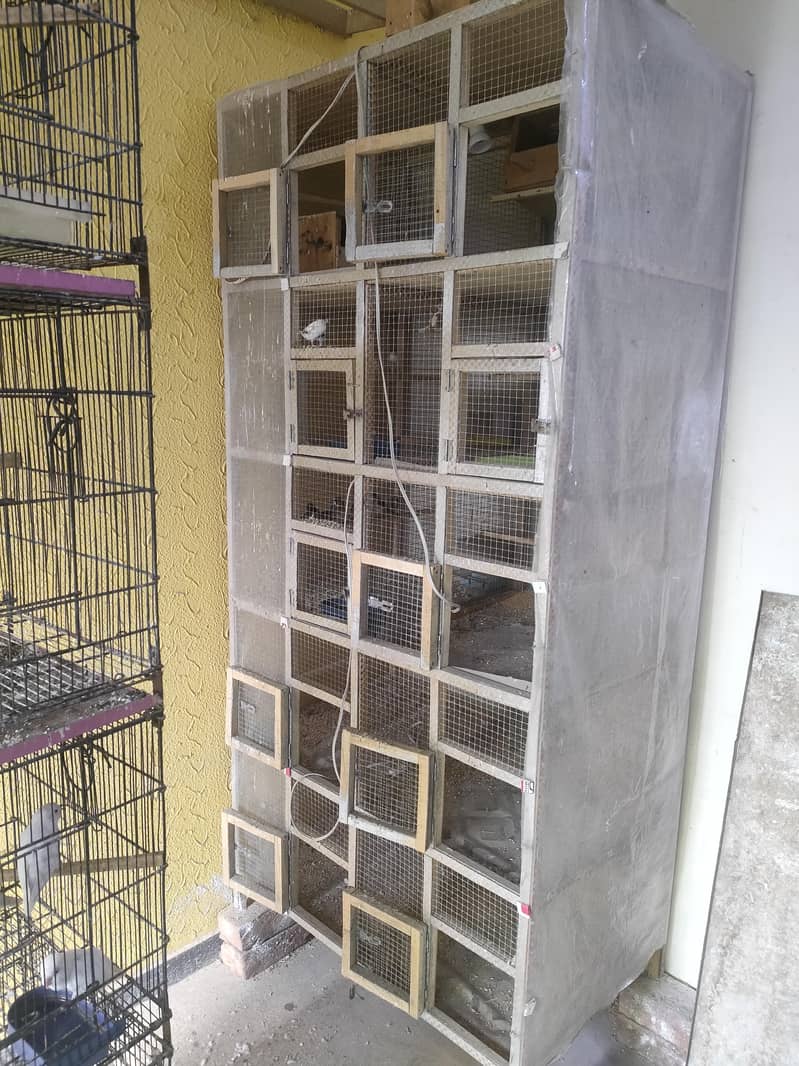 Cages 1