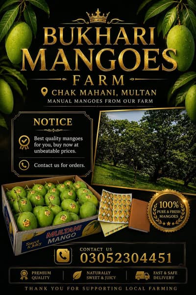 Multani premium Quality mangoes