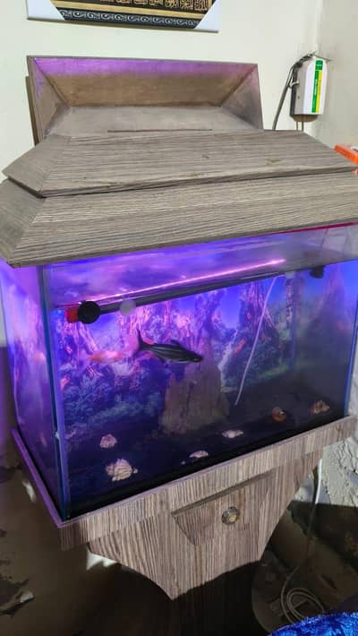 fish & Aquarium