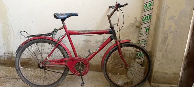 sports by cycles