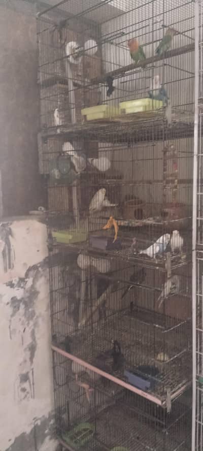 cage 4 portion
