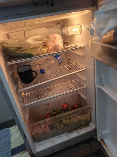 PEL medium size Fridge for sale