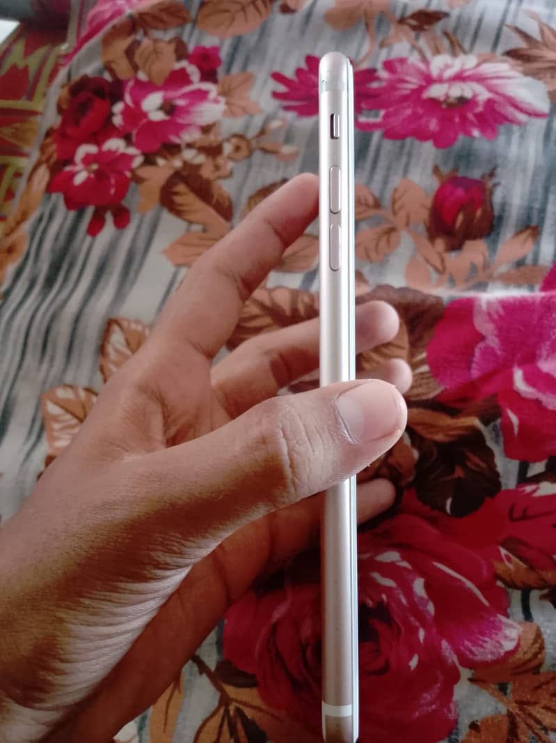Apple iPhone 6S Plus 1
