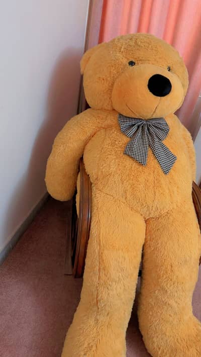 Brand new teddy bear