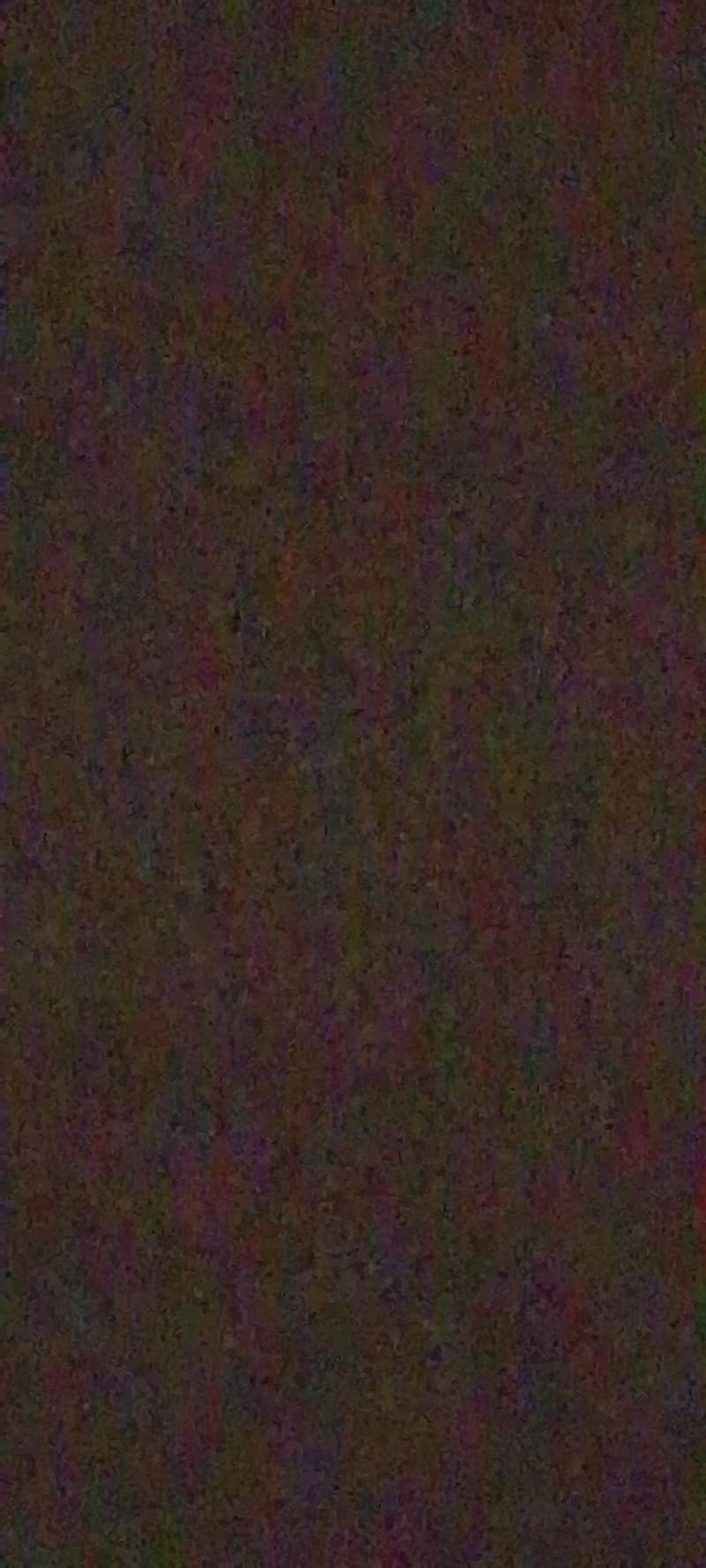 carpet 0