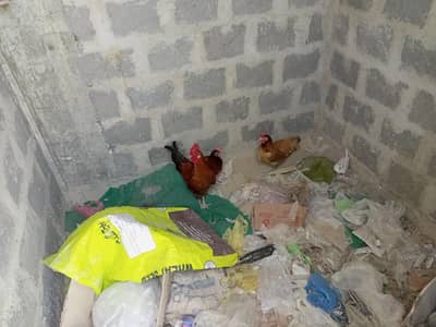 1 male and female 2 total price 4900