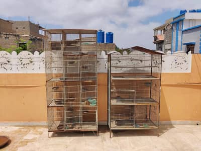 pinjra | birds cage/hens cage