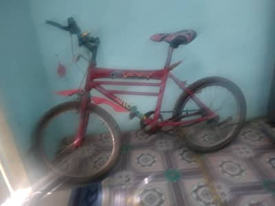 sports cycle