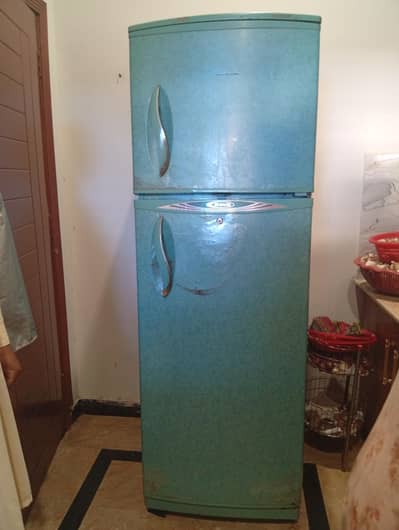 waves fridge