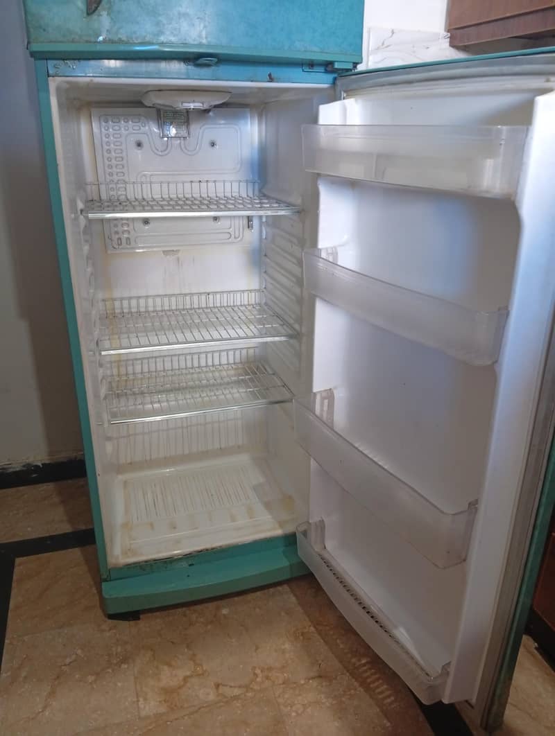 waves fridge 1