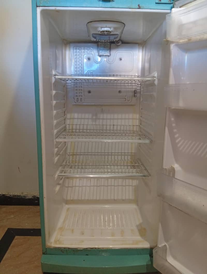 waves fridge 2
