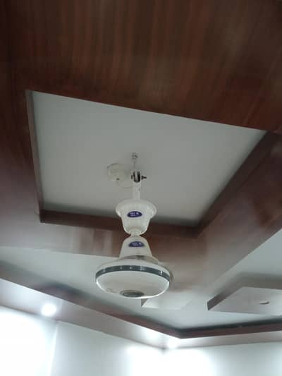 celling fans
