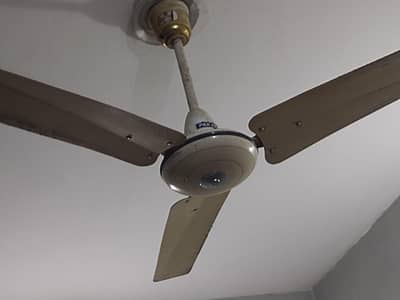 GFC fans 100 %copper original
