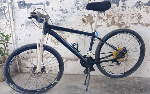 sport cycle