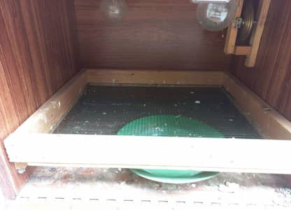 incubator urgent for sale
