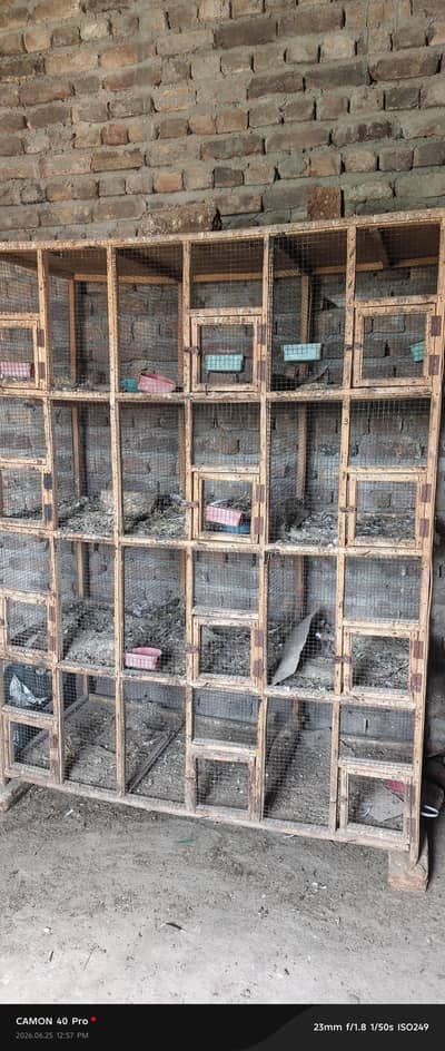 big size cage for sale