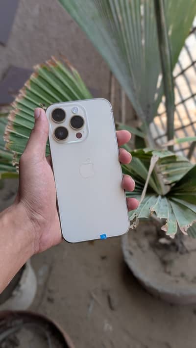 Apple iPhone 14 Pro