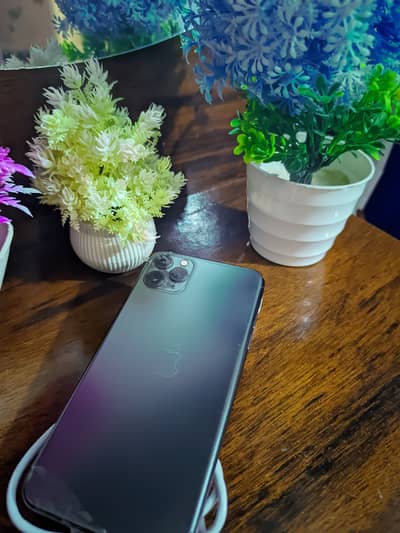 Apple iPhone 11 Pro Max
