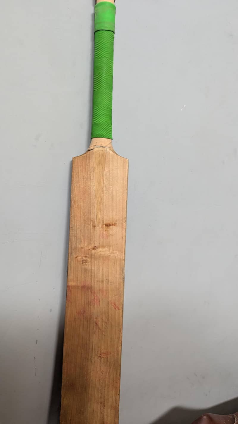 hardball bat 1