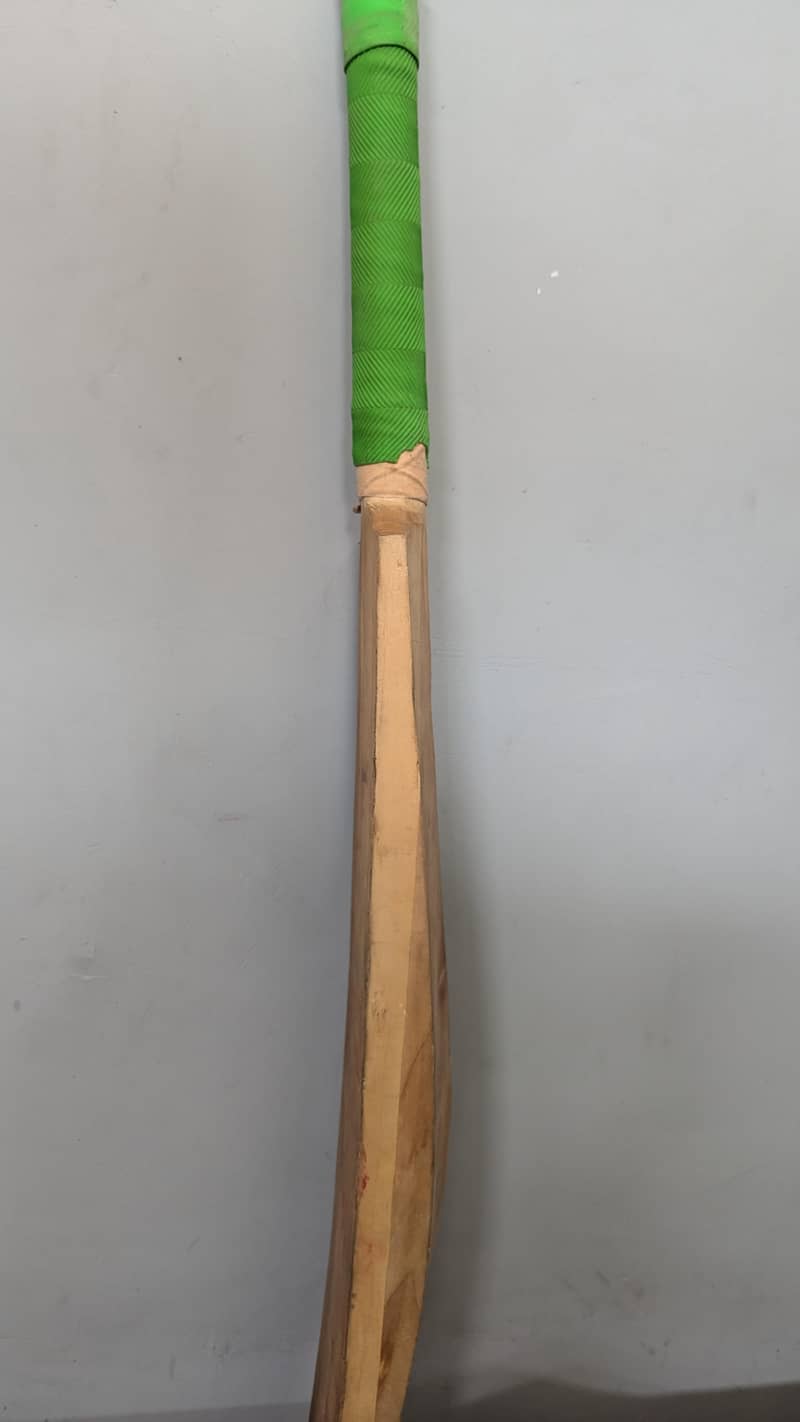 hardball bat 2